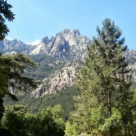 Apartman Bernardini